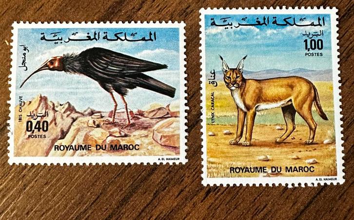 Marokko 1975 Vogel Postzegels - Postfris, Postzegels en Munten, Postzegels | Afrika, Postfris, Marokko, Ophalen of Verzenden