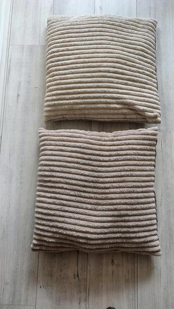 Kussens 2 stuks beige 60 cm bij 60 cm. beschikbaar voor biedingen