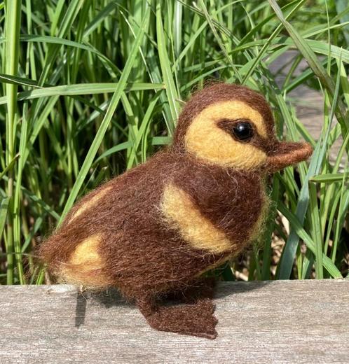 Naaldviltpakket eendje, Hobby en Vrije tijd, Overige Hobby en Vrije tijd, Nieuw, Ophalen of Verzenden