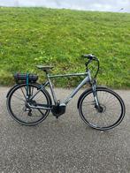 Giant entour heren elektrische fiets in nette staat!, Ophalen of Verzenden, Zo goed als nieuw, 50 km per accu of meer, Overige merken