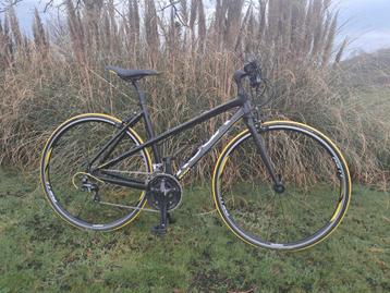 Koga sportslady | sportfiets | 3 x 10 | 50 cm beschikbaar voor biedingen