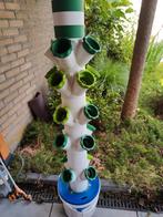 hydrophonische toren, Tuin en Terras, Planten | Tuinplanten, Ophalen of Verzenden, Overige soorten, Halfschaduw