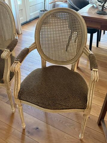 6 Louis XVI Fauteuils Dierenprint beschikbaar voor biedingen