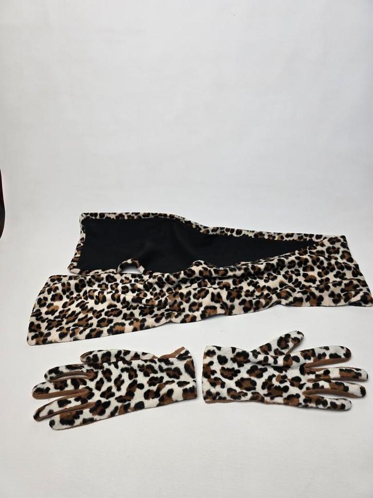 @ Leopard sjaal & Handschoenen, Kleding | Dames, Mutsen, Sjaals en Handschoenen, Zo goed als nieuw, Ophalen of Verzenden