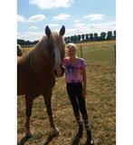 Verzorgpaard gezocht, Ophalen