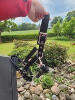 Pony halster zwart, Ophalen of Verzenden, Zo goed als nieuw, Overige soorten