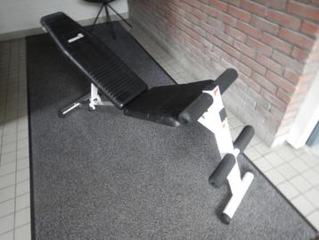 Fitness oefenbank of roman chair beschikbaar voor biedingen