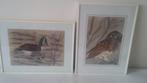 Uil en eend, 2 fraaie pastel schilderijen van Cees Versluis., Antiek en Kunst, Ophalen of Verzenden