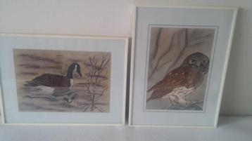 Uil en eend, 2 fraaie pastel schilderijen van Cees Versluis. beschikbaar voor biedingen