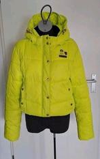 Nickelson jas winterjas skijas  maat 36 38 igs, Nickelson, Ophalen of Verzenden, Zo goed als nieuw, Maat 38/40 (M)