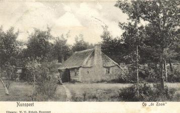 Nunspeet - Op de Zoom - 1908 gelopen