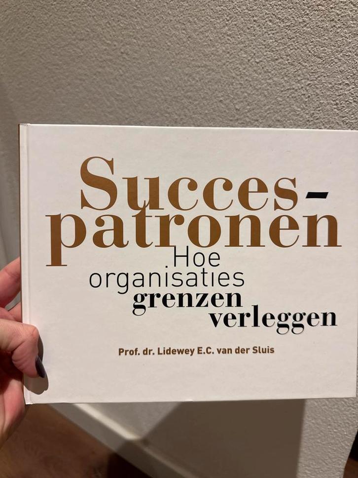 Succespatronen - Lidewey van der Sluis, Boeken, Economie, Management en Marketing, Nieuw, Management, Ophalen of Verzenden