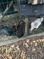 2 kippen, Meerdere dieren, Kip