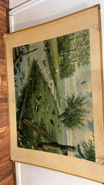Schoolplaat vintage, Antiek en Kunst, Ophalen, Natuur en Biologie