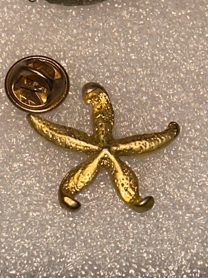 Zeester pin, Verzamelen, Speldjes, Pins en Buttons, Zo goed als nieuw, Speldje of Pin, Dier of Natuur, Ophalen of Verzenden