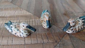 Houten eendjes beschikbaar voor biedingen