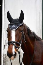 Kentucky oornetje, Dieren en Toebehoren, Ophalen of Verzenden, Zo goed als nieuw, Overige soorten