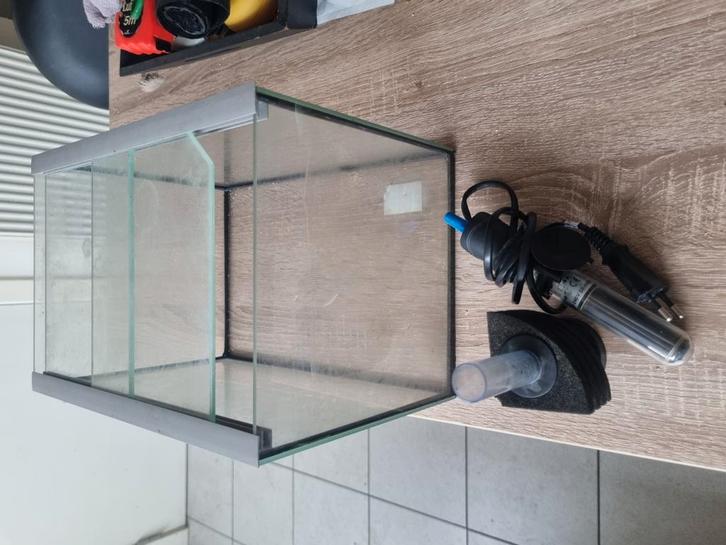 Kweekbak met heater en sponsfilter, Dieren en Toebehoren, Vissen | Aquaria en Toebehoren, Zo goed als nieuw, Overige typen, Ophalen