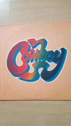 Cowboy- Cowboy LP(Boyer & Talton) USA, Ophalen of Verzenden, 1960 tot 1980, Gebruikt, 12 inch
