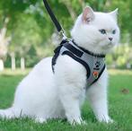 SnugFit - Ontsnappingsveilig Kattentuig /  tuigje, Ophalen of Verzenden, Nieuw