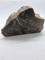 Versteend Hout - Uniek Fossiel, Verzamelen, Ophalen of Verzenden, Fossiel