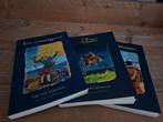 Hotse Hiddes trilogie, Ophalen of Verzenden, Zo goed als nieuw, Sibe van Aangium, Fictie