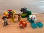 Lego Duplo 4962 babydieren / dierentuin (+ extra’s), Ophalen of Verzenden, Duplo
