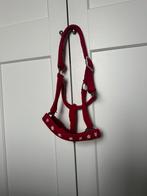 Kerst halster maat cob, Ophalen of Verzenden, Zo goed als nieuw, Overige soorten