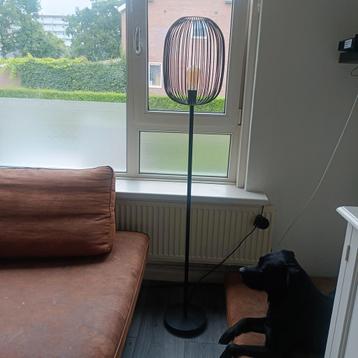 Staan lamp beschikbaar voor biedingen