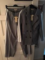 NIEUW dames pak met stoere streep, Kostuum of Pak, Maat 42/44 (L), Nieuw, Ophalen of Verzenden