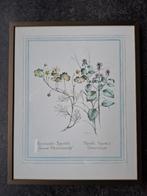 Aquarel prent, Ophalen, Natuur, Gebruikt, 1980 tot heden