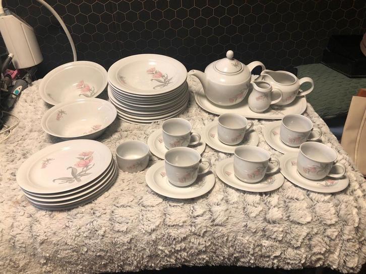 Vintage Kahla GDR Servies - Compleet! Bloemen, Huis en Inrichting, Keuken | Servies, Gebruikt, Compleet servies, Overige stijlen