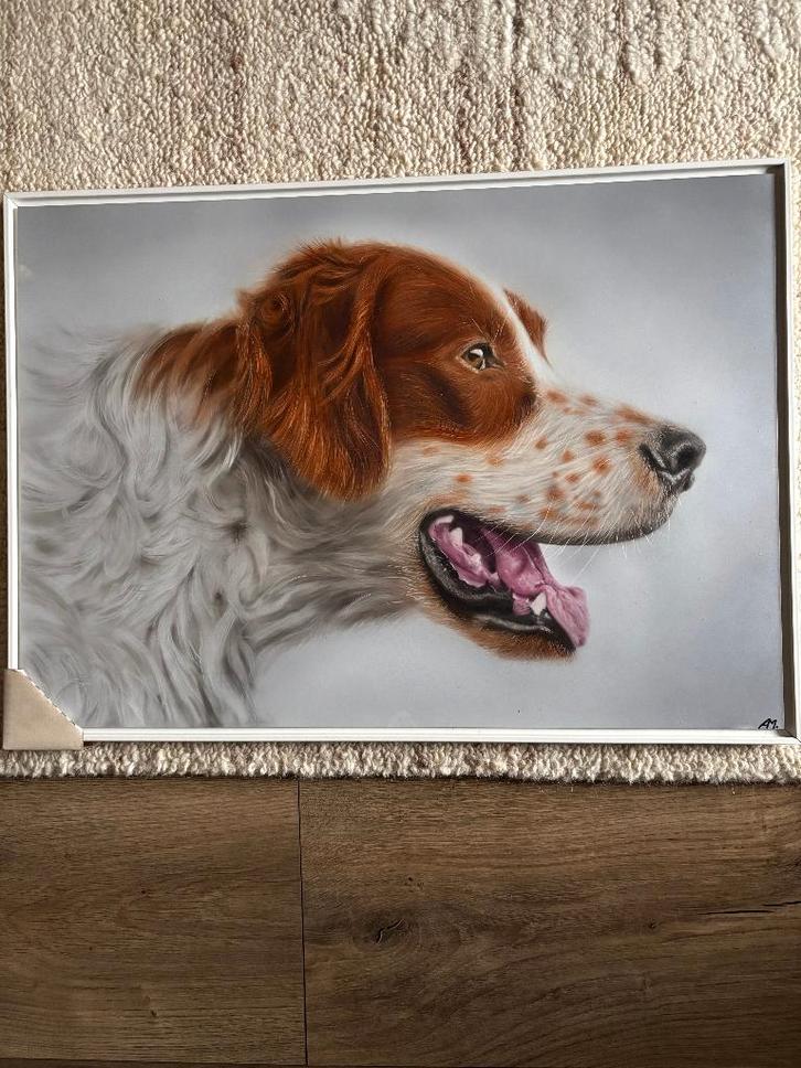 Airbrush Masterclass van Spaniel, Antiek en Kunst, Kunst | Schilderijen | Modern, Ophalen