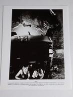 Originele Godzilla Foto, Verzenden, ., Zo goed als nieuw, Foto of Kaart