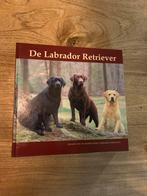 De Labrador Retriever - Boek, Ophalen of Verzenden, Zo goed als nieuw, Overige onderwerpen, Geschikt voor kinderen