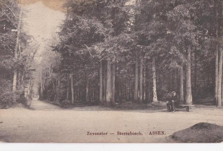 assen 2x ansichten 1912 sterrebosch/1901gouvernementsgebouw, Verzamelen, Ansichtkaarten | Nederland, Noord-Brabant, Ophalen of Verzenden