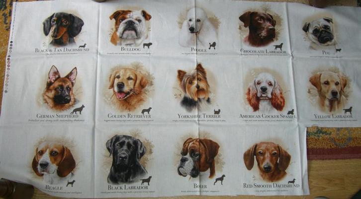 Naaien - laatste 2 lappen Quiltstof met honden - Nieuw, Hobby en Vrije tijd, Stoffen en Lappen, Nieuw, Katoen, 30 tot 120 cm, 30 tot 200 cm