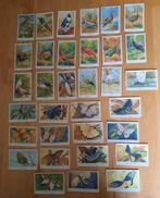 VOGEL - EN VLINDER PLAATJES -  F. DE VRIES, Verzamelen, Merken en Reclamevoorwerpen, Ophalen of Verzenden, Overige typen