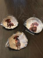 Je eigen teckel afbeelding in een oester mooie herinnering, Ophalen of Verzenden