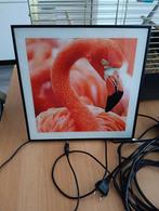 Schilderij met flamingo, Antiek en Kunst, Ophalen