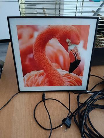 Schilderij met flamingo  beschikbaar voor biedingen