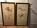 Schilderijlijsten met afbeelding van amaryllis en orchidee, Antiek en Kunst, Curiosa en Brocante, Ophalen