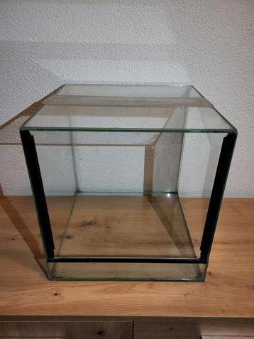 Terrarium beschikbaar voor biedingen
