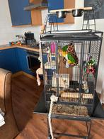 Keddock vogelkooi, Dieren en Toebehoren, Ophalen, Zo goed als nieuw, Metaal, Vogelkooi