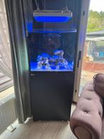 Red sea 200XL g2, Dieren en Toebehoren, Vissen | Aquaria en Toebehoren, Ophalen of Verzenden, Leeg aquarium