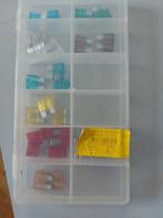 IPCA Zekeringen 5A - 10x20x5mm, Ophalen of Verzenden, Nieuw