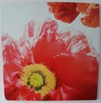 Canvas schilderij rode bloem 120x120, Ophalen of Verzenden