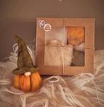 Pompoen gnome naaldvilt pakket, meerdere soorten v.a. €19,95, Ophalen of Verzenden, Nieuw, Figuurtje(s), Wolvilt