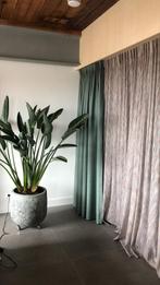 Grote plantenbak grijs/groen aardewerk voor binnen nieuw!, Ophalen, 40 cm of meer, Rond, Binnen