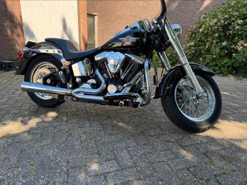 Harley Davidson Fatboy beschikbaar voor biedingen
